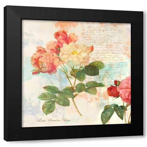 Redoutes Roses 2.0 - I  Black Modern Wood Framed Art Print by Chestier, Eric
