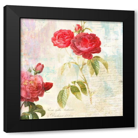 Redoutes Roses 2.0 - IIÂ Black Modern Wood Framed Art Print with Double Matting by Chestier, Eric