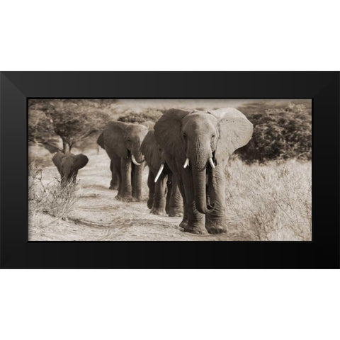 Herd of African Elephants- Kenya Black Modern Wood Framed Art Print by Anonymous