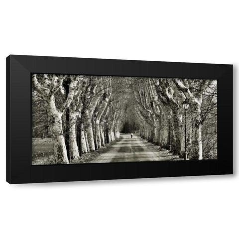 Come le foglie Black Modern Wood Framed Art Print by Ferrua, Fulvio