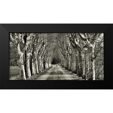 Come le foglie Black Modern Wood Framed Art Print by Ferrua, Fulvio