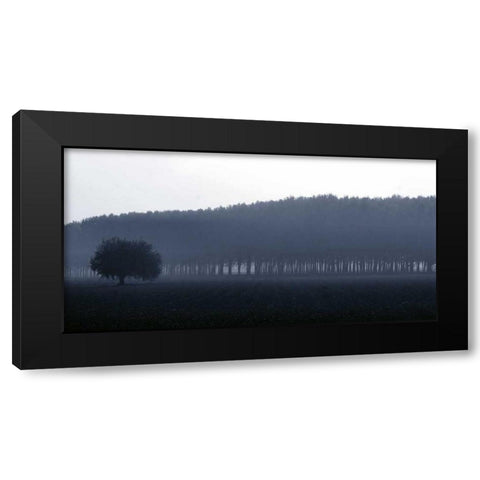 Sinfonia d autunno Black Modern Wood Framed Art Print by Ferrua, Fulvio