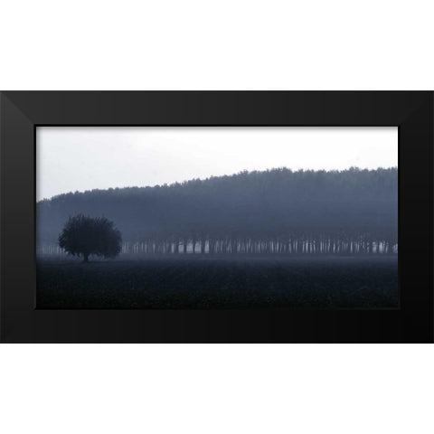 Sinfonia d autunno Black Modern Wood Framed Art Print by Ferrua, Fulvio