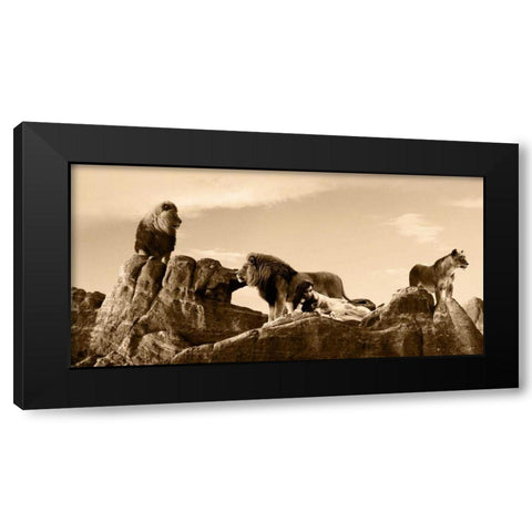 Brotherhood Black Modern Wood Framed Art Print by Moreau, Marc