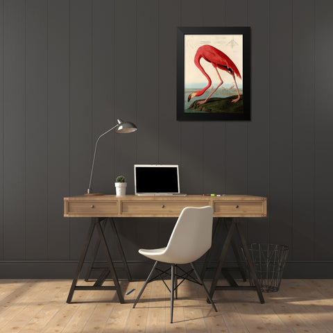 American Red Flamingo Black Modern Wood Framed Art Print by Audubon, John James