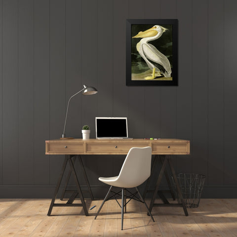 American White Pelican Black Modern Wood Framed Art Print by Audubon, John James