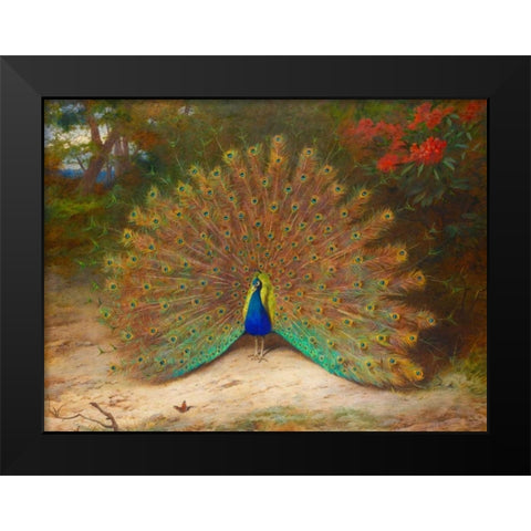 Peacock and Peacock Butterfly Black Modern Wood Framed Art Print by Thorburn, Archibald