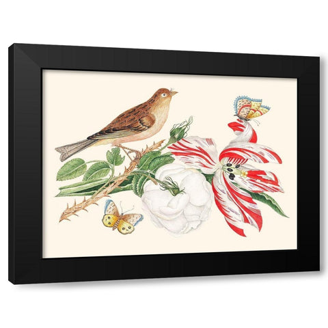 A Bird on a branch with Rose-Tulip and Butterflies Black Modern Wood Framed Art Print by Anonymous