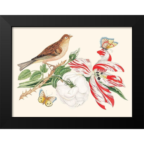 A Bird on a branch with Rose-Tulip and Butterflies Black Modern Wood Framed Art Print by Anonymous