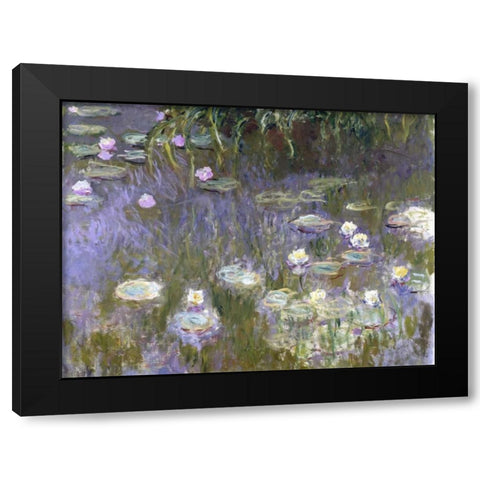 Water Lilies Black Modern Wood Framed Art Print by Monet, Claude