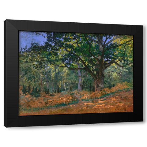 The Bodmer Oak Fontainebleau Forest Black Modern Wood Framed Art Print with Double Matting by Monet, Claude