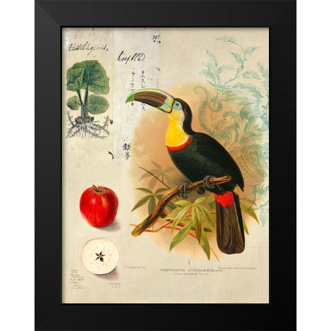 Cabinet of Curiosities n. 4 Black Modern Wood Framed Art Print by Joannoo