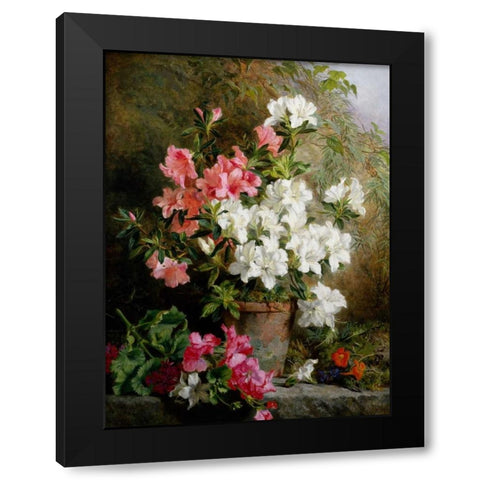 Still Life of Azaleas Black Modern Wood Framed Art Print with Double Matting by Feray Mutrie, Annie