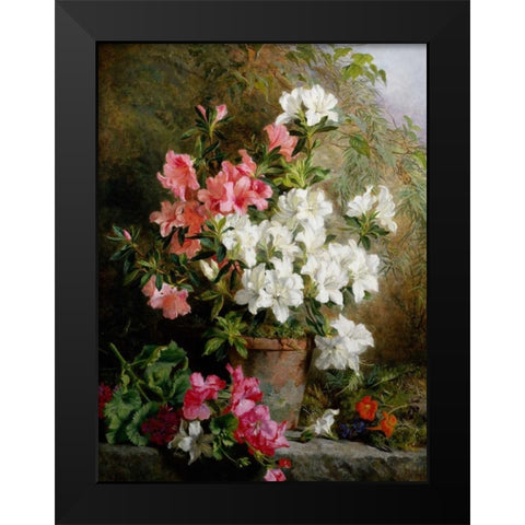 Still Life of Azaleas Black Modern Wood Framed Art Print by Feray Mutrie, Annie