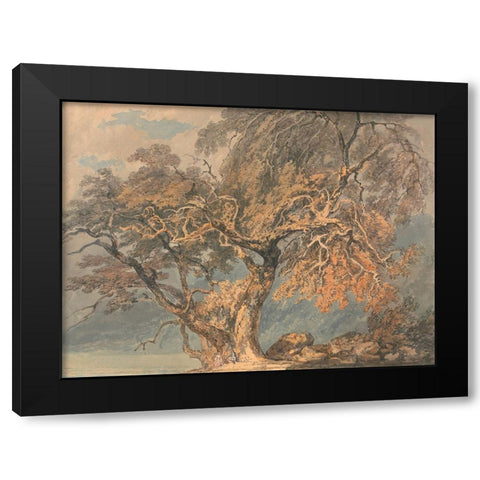 A Great Tree Black Modern Wood Framed Art Print with Double Matting by Turner, William