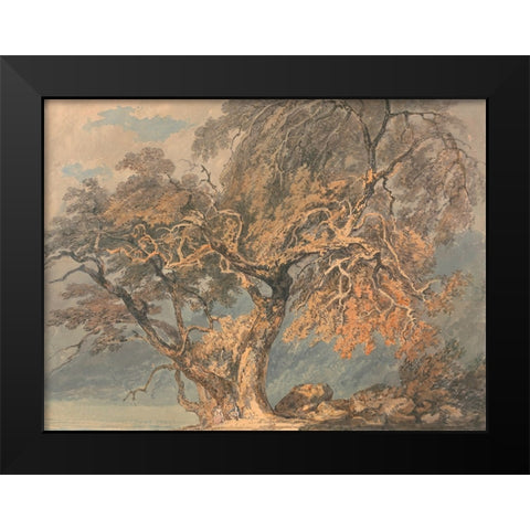 A Great Tree Black Modern Wood Framed Art Print by Turner, William