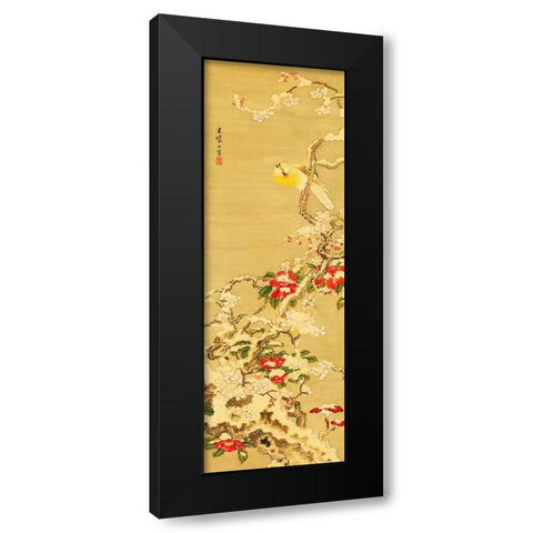 Bird among Camellias in Snow  Black Modern Wood Framed Art Print with Double Matting by Anonymous