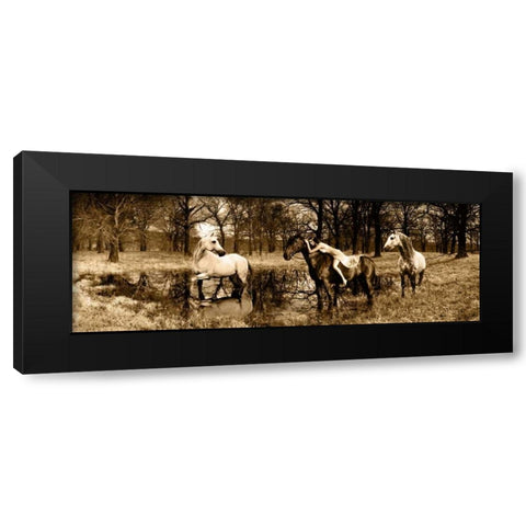 Spirits of the Woods Black Modern Wood Framed Art Print with Double Matting by Moreau, Marc