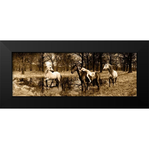 Spirits of the Woods Black Modern Wood Framed Art Print by Moreau, Marc