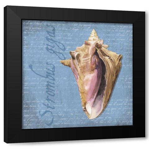 Oceanum Shells Blue I Black Modern Wood Framed Art Print by Reed, Tara