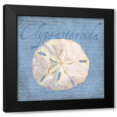 Oceanum Shells Blue IV Black Modern Wood Framed Art Print with Double Matting by Reed, Tara