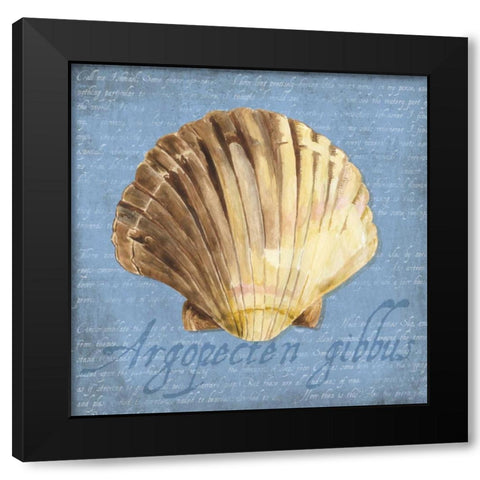 Oceanum Shells Blue V Black Modern Wood Framed Art Print with Double Matting by Reed, Tara