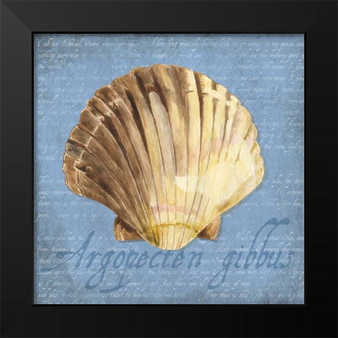 Oceanum Shells Blue V Black Modern Wood Framed Art Print by Reed, Tara