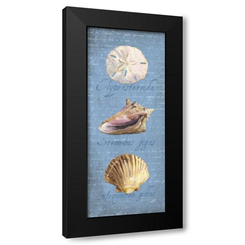 Oceanum Shell Panel Blue I Black Modern Wood Framed Art Print with Double Matting by Reed, Tara