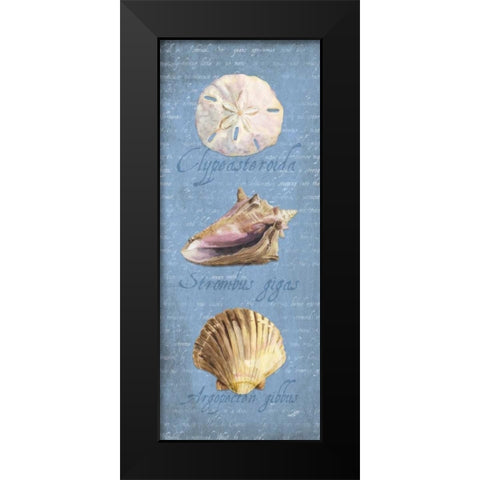 Oceanum Shell Panel Blue I Black Modern Wood Framed Art Print by Reed, Tara