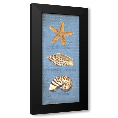 Oceanum Shell Panel Blue II Black Modern Wood Framed Art Print with Double Matting by Reed, Tara