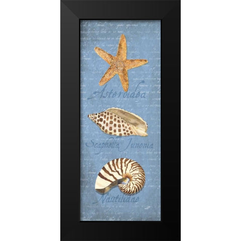 Oceanum Shell Panel Blue II Black Modern Wood Framed Art Print by Reed, Tara