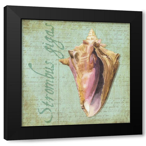 Oceanum Shells Green I Black Modern Wood Framed Art Print with Double Matting by Reed, Tara
