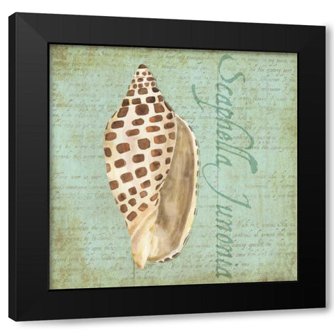 Oceanum Shells Green II Black Modern Wood Framed Art Print with Double Matting by Reed, Tara