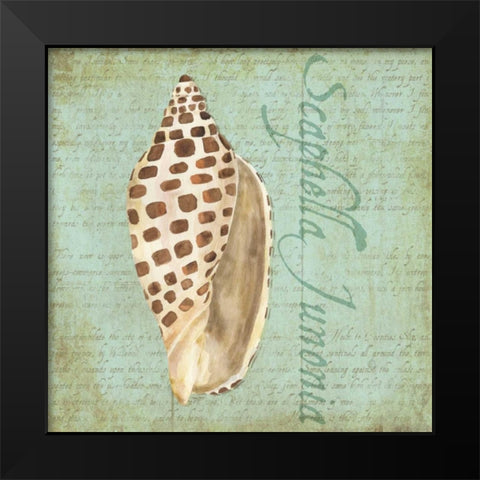 Oceanum Shells Green II Black Modern Wood Framed Art Print by Reed, Tara