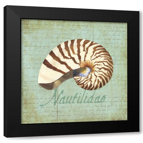 Oceanum Shells Green III Black Modern Wood Framed Art Print by Reed, Tara