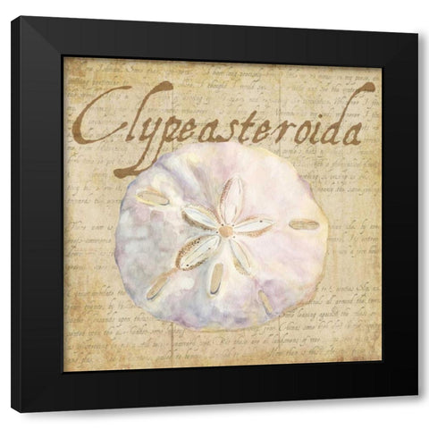 Oceanum Shells Beige IV Black Modern Wood Framed Art Print with Double Matting by Reed, Tara