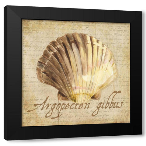 Oceanum Shells Beige V Black Modern Wood Framed Art Print with Double Matting by Reed, Tara