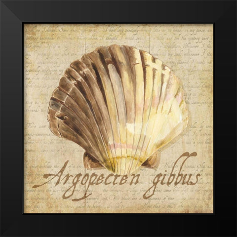 Oceanum Shells Beige V Black Modern Wood Framed Art Print by Reed, Tara