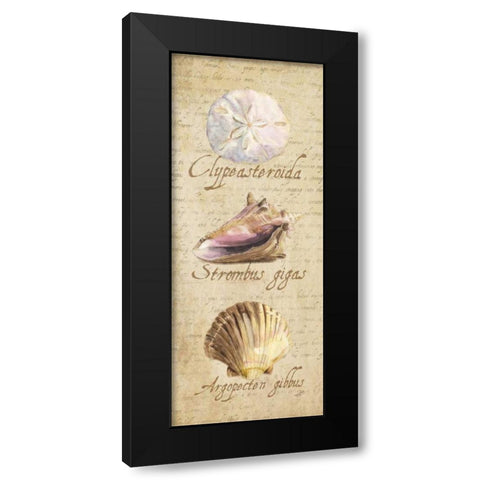 Oceanum Shell Panel Beige I Black Modern Wood Framed Art Print with Double Matting by Reed, Tara