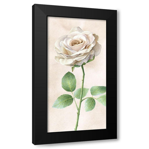 Ivory  Roses panel I Black Modern Wood Framed Art Print with Double Matting by Wilson, Kelsey