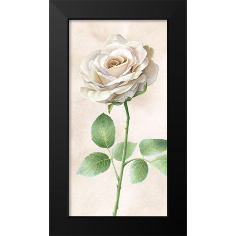 Ivory  Roses panel I Black Modern Wood Framed Art Print by Wilson, Kelsey