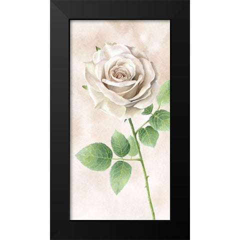 Ivory  Roses panel II Black Modern Wood Framed Art Print by Wilson, Kelsey