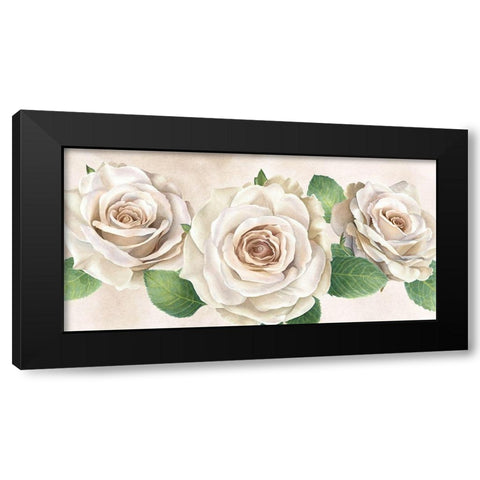 Ivory  Roses landscape I Black Modern Wood Framed Art Print by Wilson, Kelsey