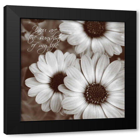 Sepia Blossoms I Black Modern Wood Framed Art Print with Double Matting by Romita, Denise