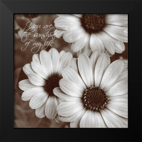 Sepia Blossoms I Black Modern Wood Framed Art Print by Romita, Denise