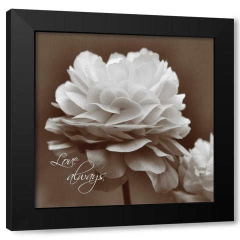 Sepia Blossoms II Black Modern Wood Framed Art Print by Romita, Denise