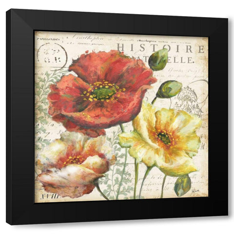 Spice Poppies Histoire Naturelle I Black Modern Wood Framed Art Print with Double Matting by Tre Sorelle Studios