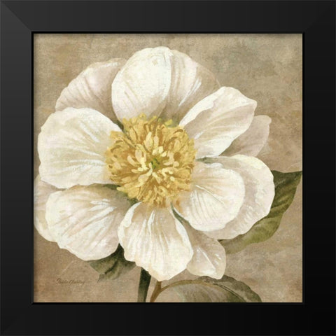Up Close Cream Rose Black Modern Wood Framed Art Print by Gladding, Pamela