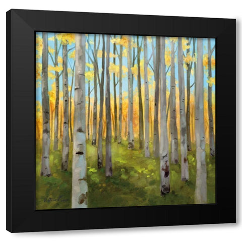 Birch Woods I Black Modern Wood Framed Art Print with Double Matting by Milan, Vittorio
