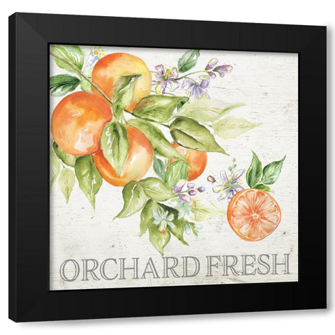 Lemon  Grove IV Black Modern Wood Framed Art Print with Double Matting by Tre Sorelle Studios